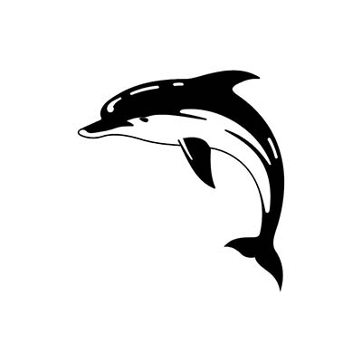 Dolphin Gallery Design Water Transfer Temporary Tattoo(fake Tattoo) Stickers NO.11125